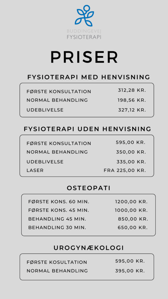 Fysioterapi priser